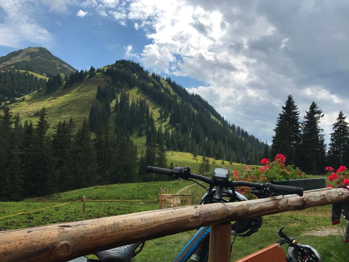 Bayern Resort Hotel - Adults Only - Mit Zugspitzblick - Eibsee-Naehe - Wellnessbereich - Naturpool Im Sommer Грайнау Экстерьер фото